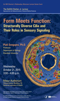2015 Stetten Lecture poster - Form Meets Function: Structurally Diverse Cilia and Their Roles in Sensory Signalin