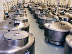 Cryogenic tanks filled with liquid nitrogen and millions of vials of frozen cells. Credit: Coriell Institute for Medical Research.