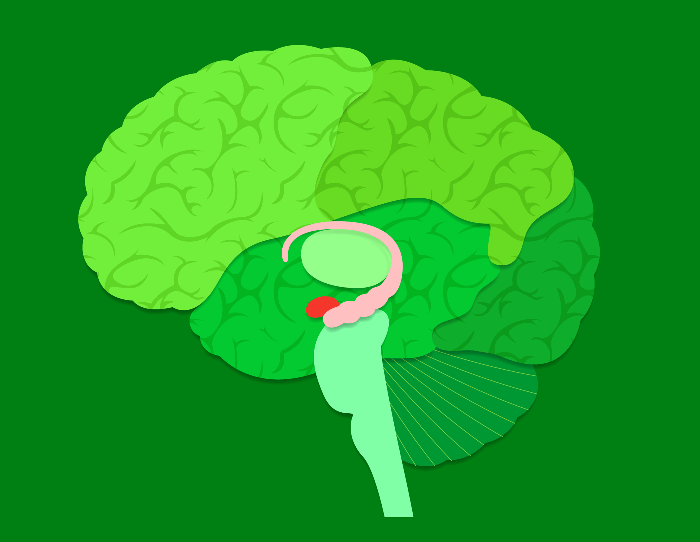 background brain image