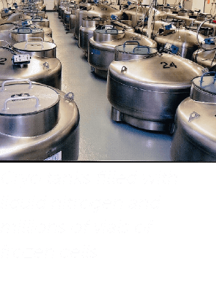 Cryo tanks filled with liquid nitrogen and millions of vials of frozen cells