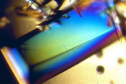 crystal of cow trypsin protein Image