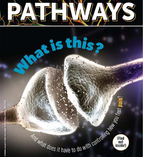 Pathways The Brain and Anesthesia Issue Cover