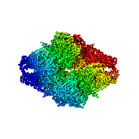 Composite image of E. coli beta-galactosidase using cryo-EM.