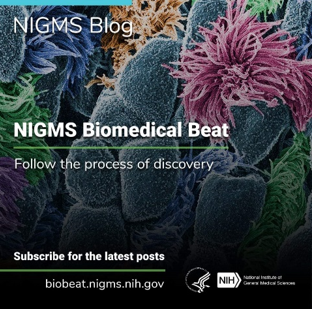 NIGMS Biomedical Beat Blog promotion.