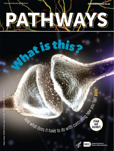 The cover of Pathways: The Anesthesia Issue.