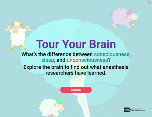 The outline of a brain surrounded by three sheep representing consciousness, sleep, and unconsciousness. Text reads: “Tour Your Brain. What’s the difference between consciousness, sleep, and unconsciousness? Explore the brain to find out what anesthesia researchers have learned.”