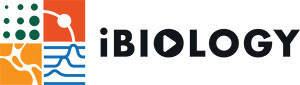 iBiology Logo