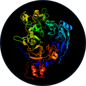 Protein Alphabet Icon.