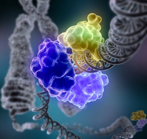 An illustration of a DNA double helix with another molecule wrapped around it.