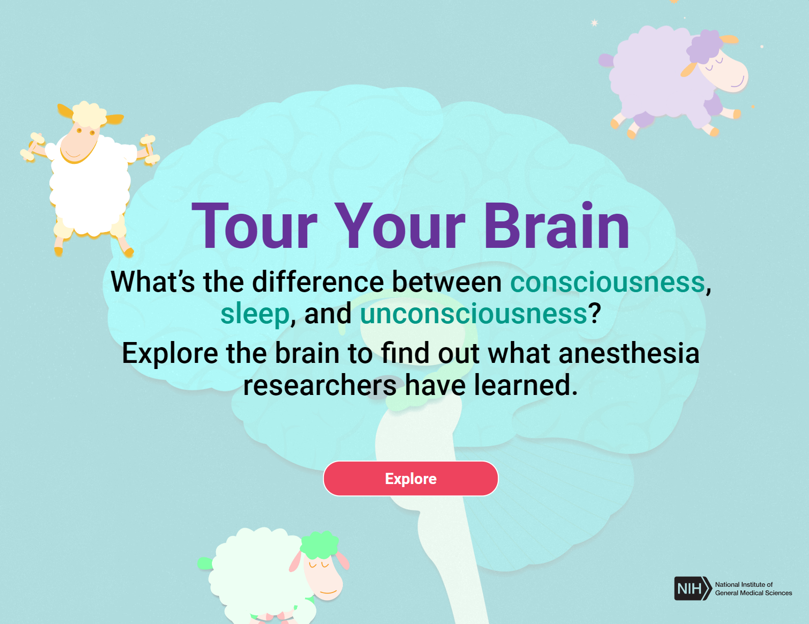 Brain Tour icon.
