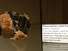 Fluorapatite with Calcite