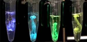 Four tubes containing the ingredients that produce bioluminescence.