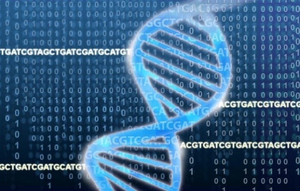 An illustration of a DNA molecule on a background of genetic code and binary code.