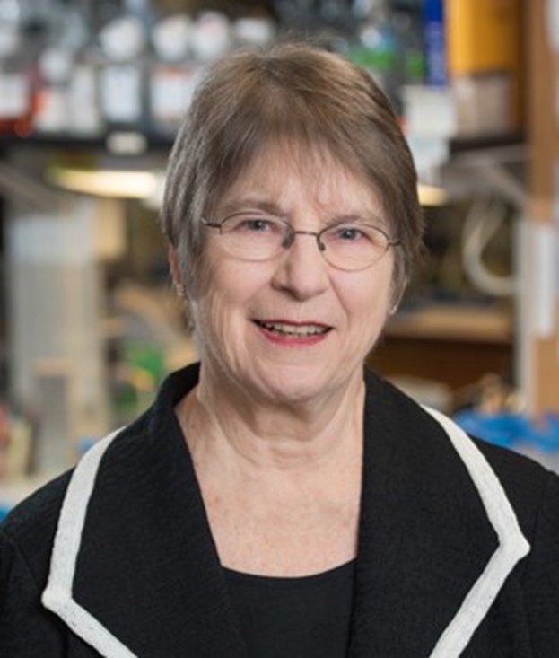 A headshot of Dr. Meisler.