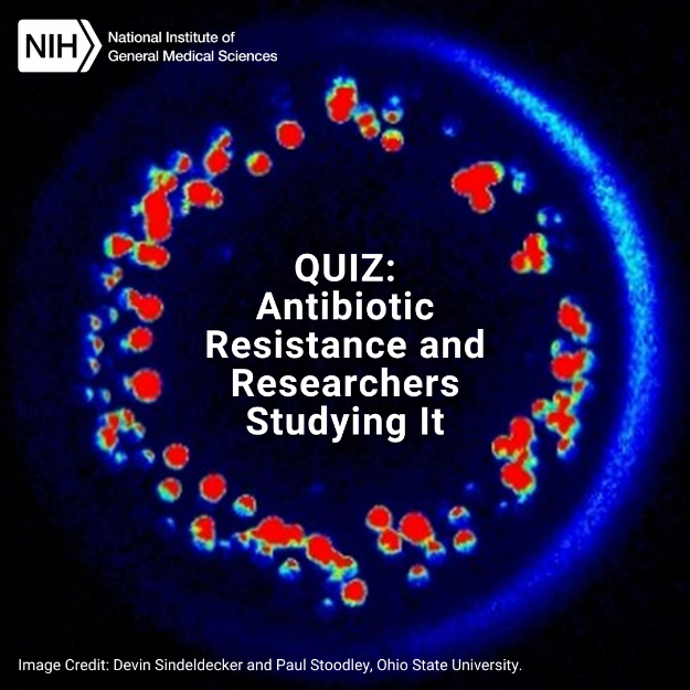 Quiz logo