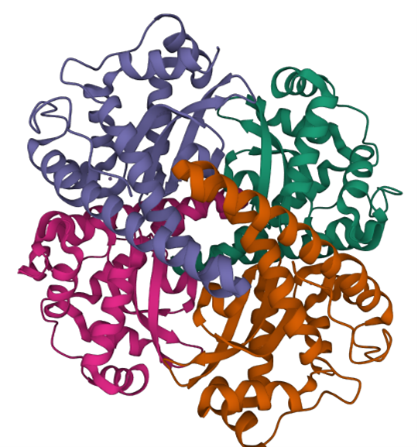 Four units of green, purple, orange, or pink ribbons and sheets connected to form a flower-like shape.