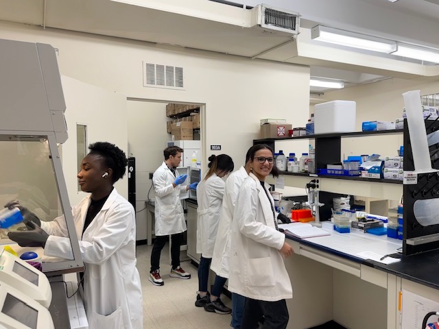 Dr. Mallikaratchy and three students wearing white lab coats. She smiles at the camera while the others conduct various research steps.