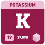 A square showing Potassium’s symbol (K), atomic number (19), and atomic weight (39.098).
