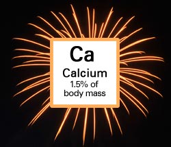 Calcium. 1.5% of body mass.
