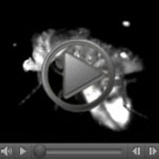 Video screen shot