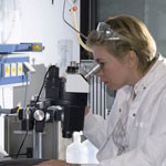 A scientist looking through a  microscope. Credit: Stock image.