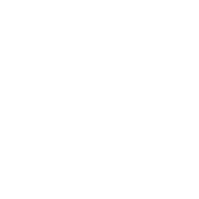 Ending Structural Racism icon