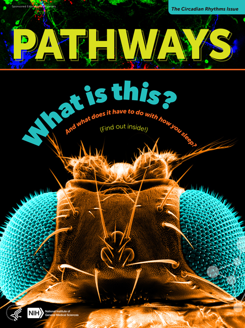Pathways Circadian Rhythms Issue Cover
